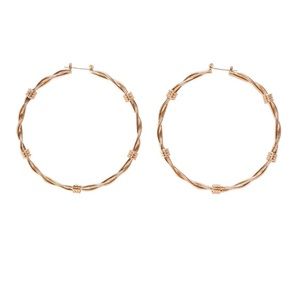 FashionNova Twisted Desire Hoops
